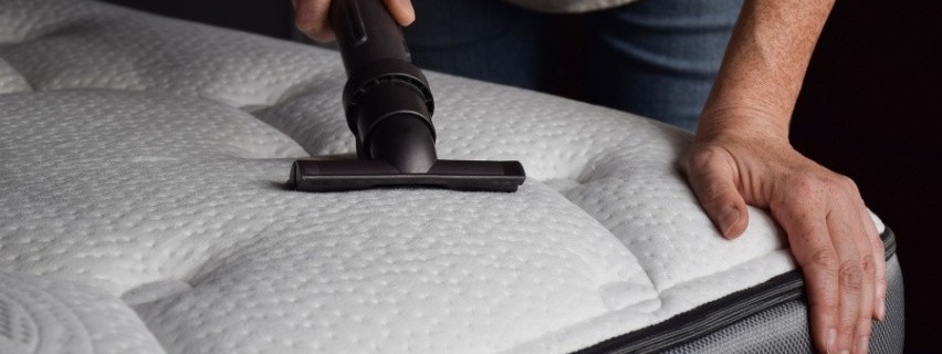 Bolha vagy ágyi poloska az ágyban? Így ismerheti fel, és így szabadulhat meg tőlük