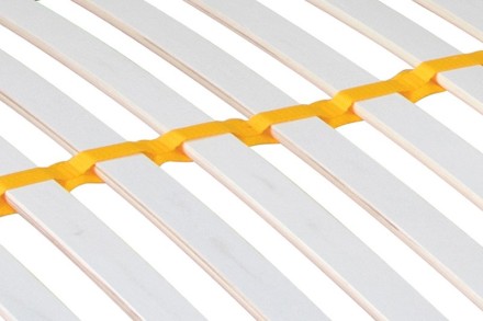 Motoros ágyrács  5 anatómiai zónával és 28 lamellával.